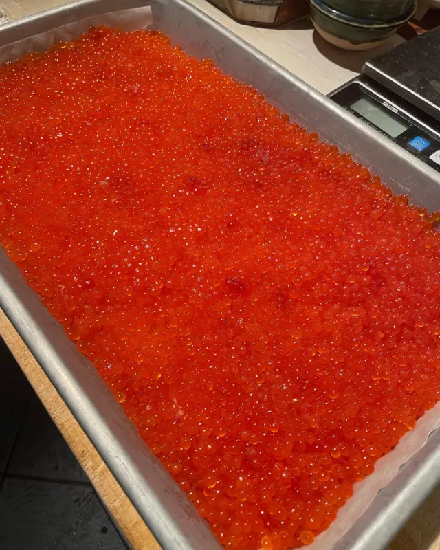 今年も新物の筋子が始まりましたー☺️
何度も失敗したイクラの制作もようやく安定して出来るようになりました👍
当店では、湯バラシでは無く手揉みバラシで冷塩水でしっかり洗浄して仕上げております。しっかり水切りをした後、特製の塩汁できっちり時間を測って漬け込み、１日熟成させています。醤油では無く、イクラ本来の味を損なわない塩イクラです。
みなさまぜひご賞味下さいませー😃

#樽八　#筋子　#イクラ